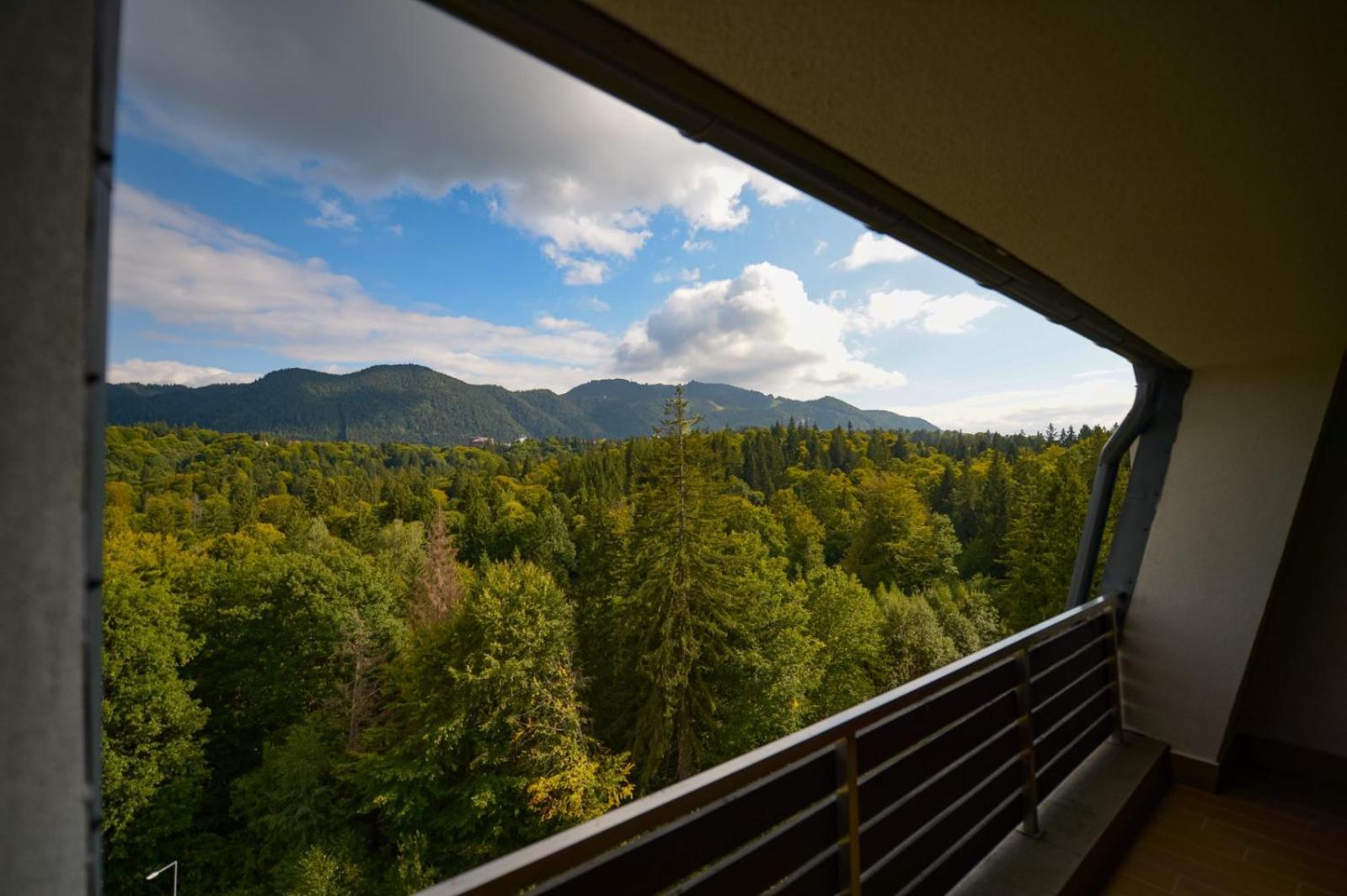 Elexus Apartments Poiana Brasov Eksteriør billede